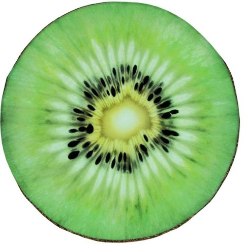Poduszka na krzesło okrągłe DALIA II wzór KIWI (widok od góry) Poduszka na krzesło okrągłe DALIA II wzór KIWI (widok od góry)